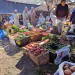 Traditional Berber village in Ourika Valley — stone houses on the hillside with Atlas Mountains scenery near Marrakech