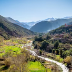 Private day trip to Ourika Valley from Marrakech — lush green valley with High Atlas mountains in the background
