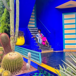 Visita al Giardino Majorelle – Solo trasferimenti privati