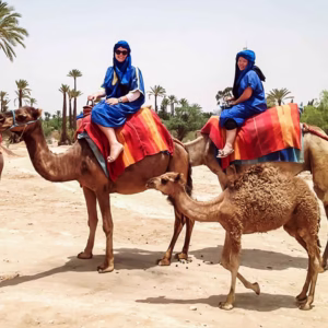 Balade à dos de chameau en famille dans la Palmeraie de Marrakech