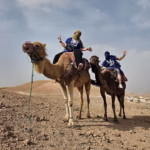 Dinner Agafay Show Camel Ride Marrakech