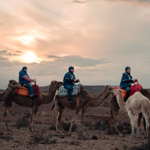 Excursion Camel ride Agafay Activity