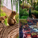 Private Tour Ourika Valley Day Trip and Anima Garden Visit